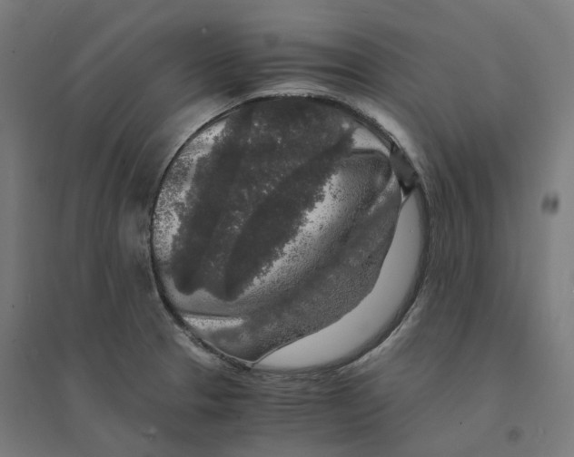 X0000094431329200712061105