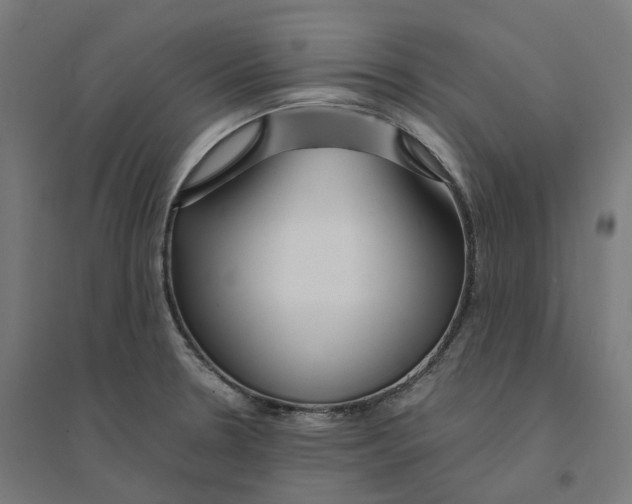 X0000094431330200712061105