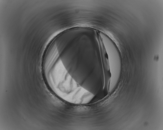 X0000094431331200712061105