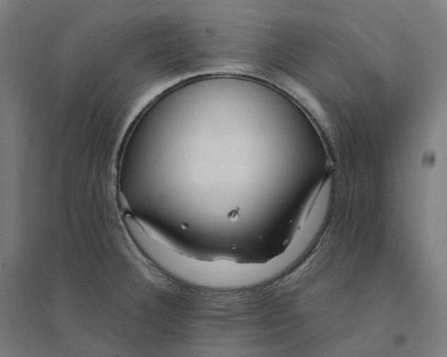 X0000094431332200712061105