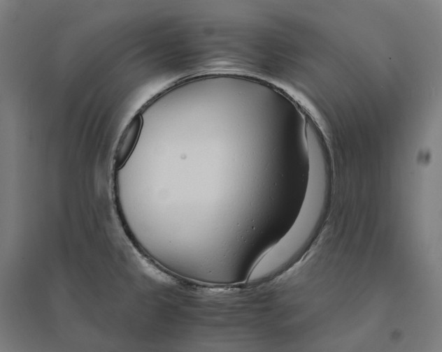 X0000094431333200712061105