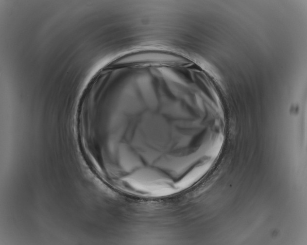 X0000094431334200712061105