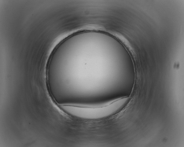 X0000094431335200712061105