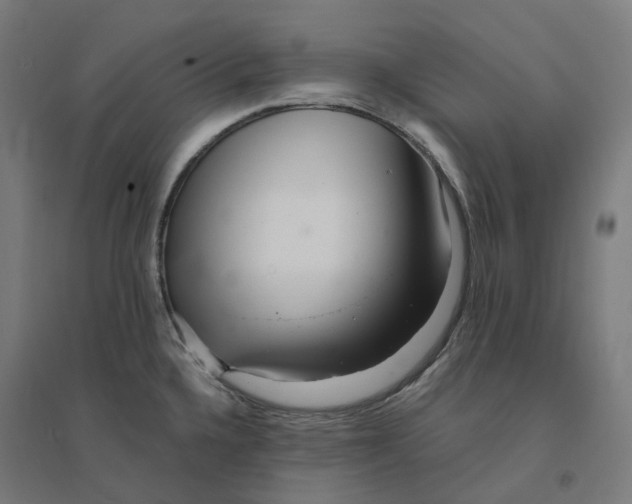 X0000094431336200712061105