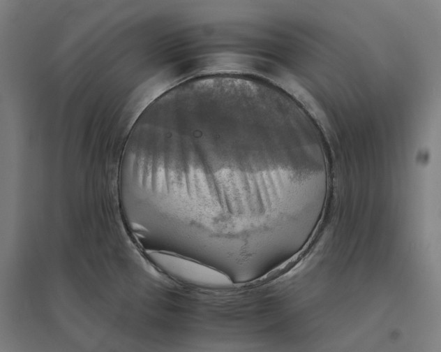 X0000094431337200712061105