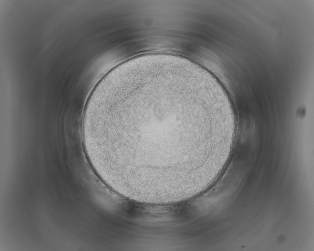 X0000094431338200712061105