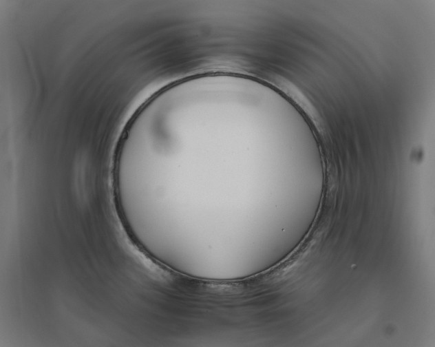 X0000094431339200712061105