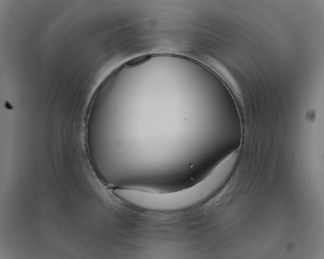 X0000094431340200712061105