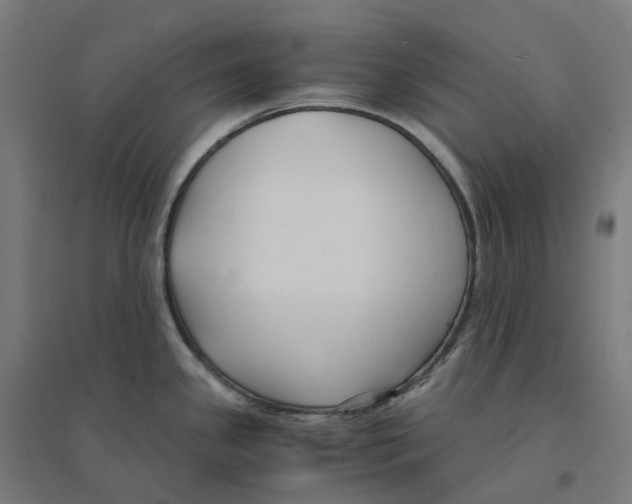 X0000094431341200712061105