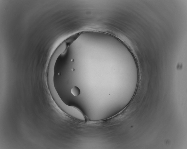 X0000094431344200712061105