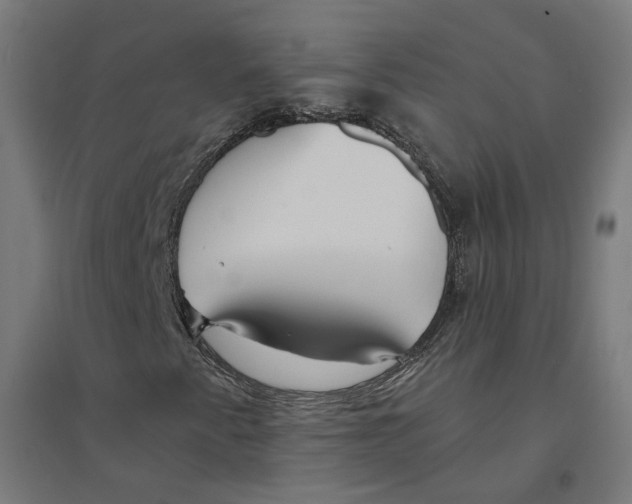 X0000094431345200712061105