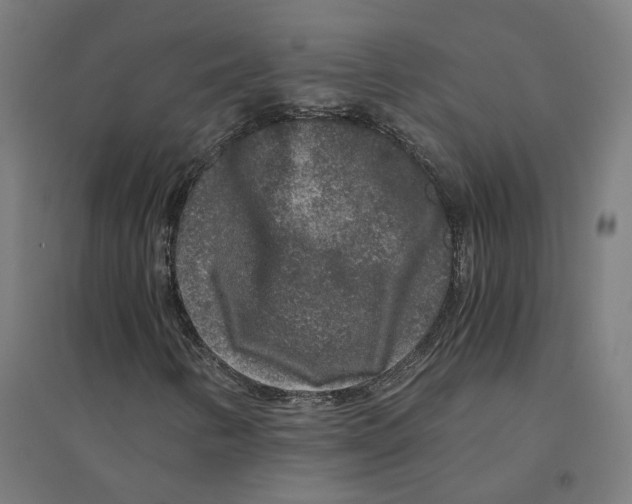 X0000094431346200712061105