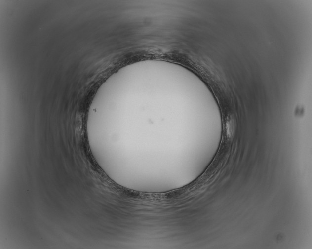 X0000094431347200712061105