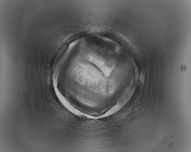 X0000094431348200712061105