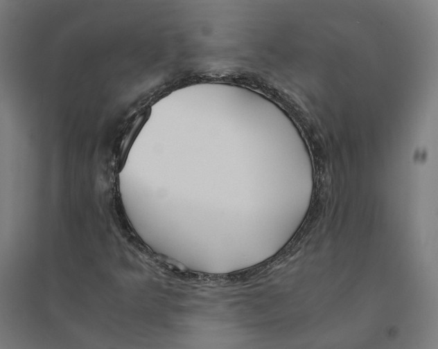 X0000094431349200712061105