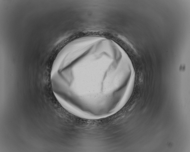 X0000094431350200712061105