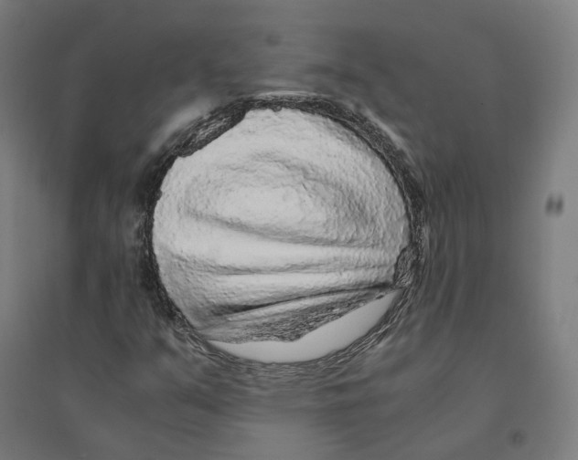 X0000094431351200712061105