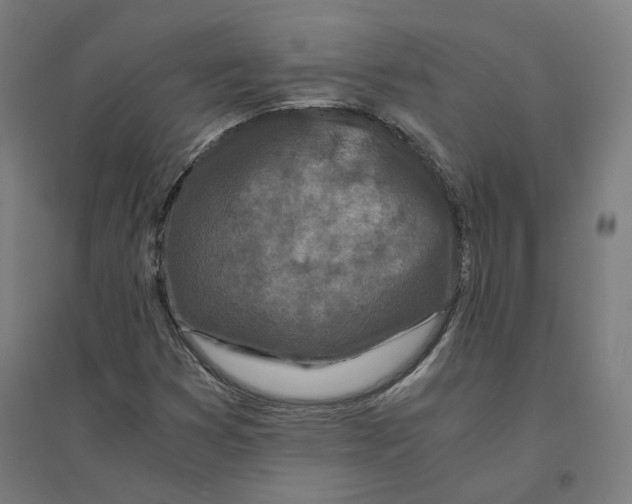 X0000094431353200712061105