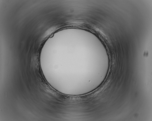 X0000094431354200712061105