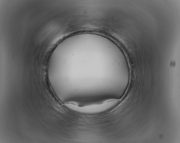 X0000094431355200712061105