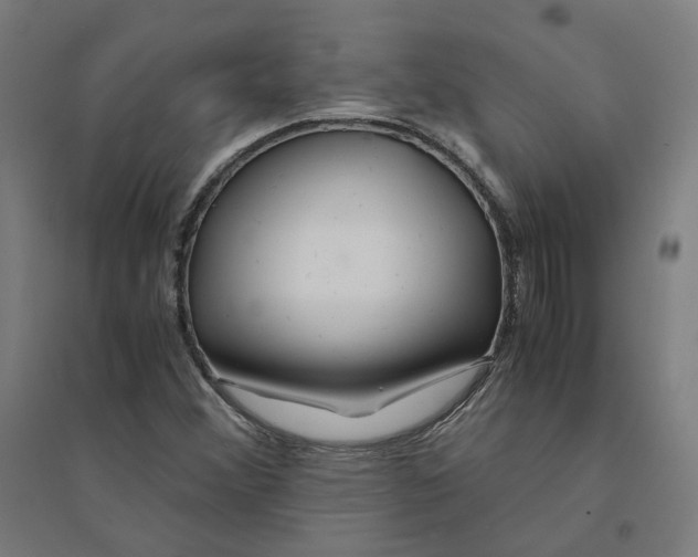 X0000094431356200712061105