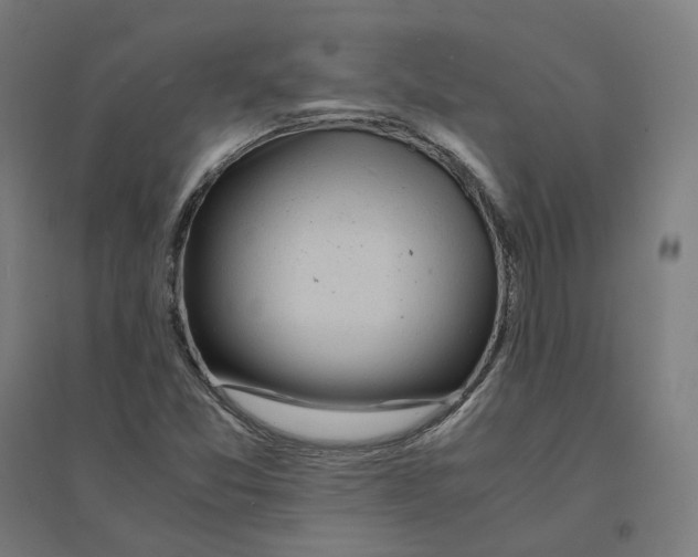 X0000094431357200712061105