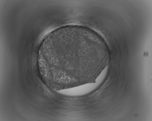 X0000094431359200712061105