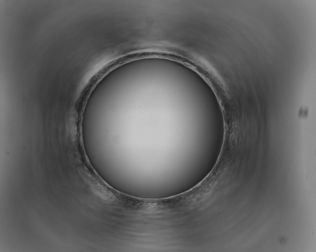 X0000094431360200712061105