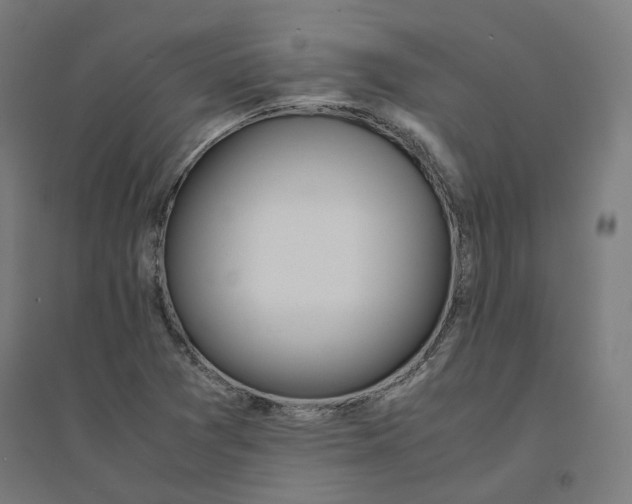 X0000094431361200712061105