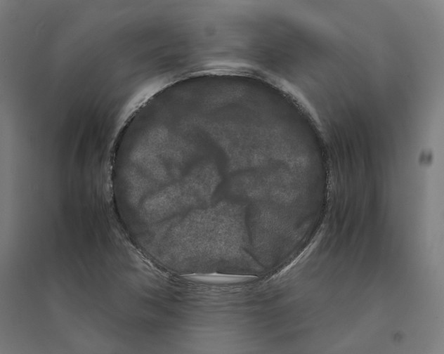 X0000094431362200712061105