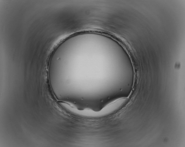 X0000094431363200712061105