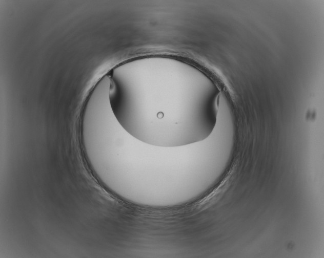 X0000094431365200712061105