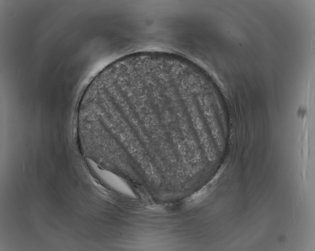 X0000094431367200712061104