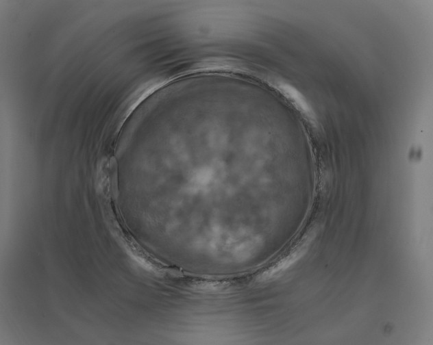 X0000094431369200712061104