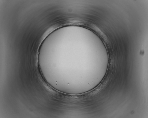 X0000094431370200712061104