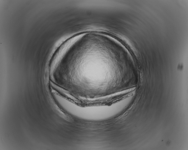 X0000094431371200712061104