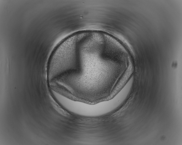 X0000094431372200712061104