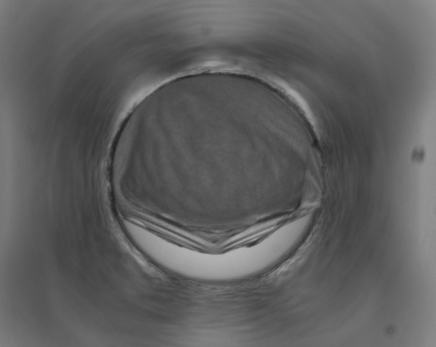 X0000094431373200712061104