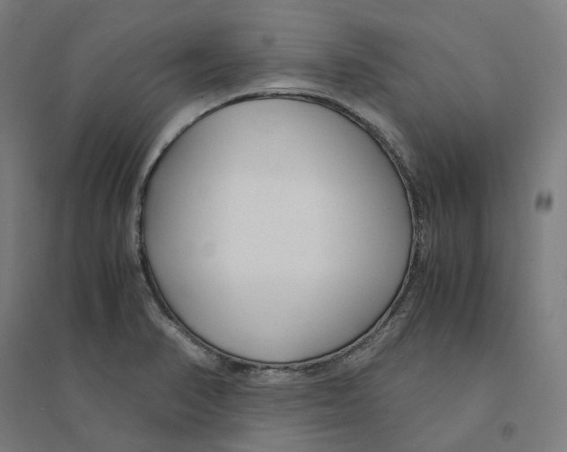 X0000094431374200712061104