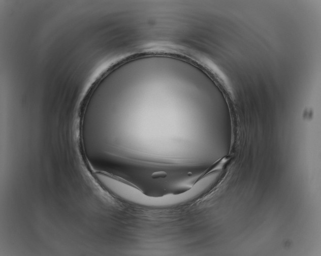 X0000094431376200712061104