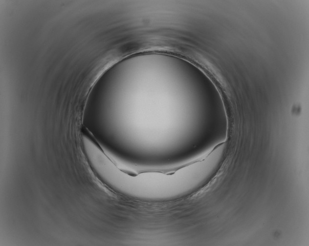 X0000094431377200712061104