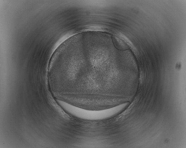 X0000094431378200712061104