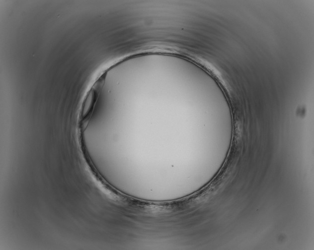 X0000094431379200712061104