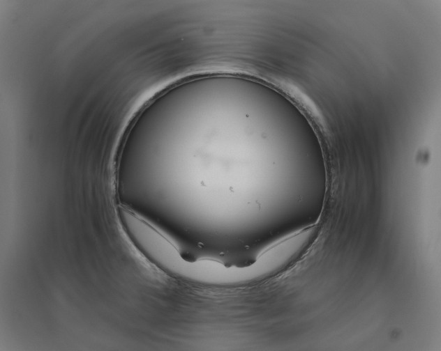 X0000094431380200712061104