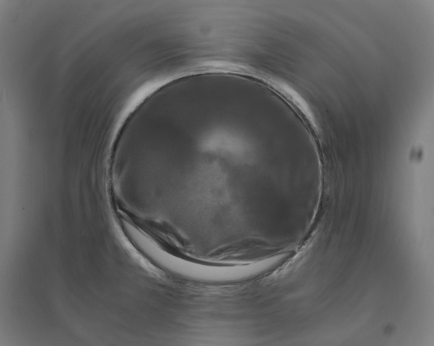 X0000094431381200712061104