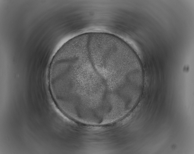 X0000094431382200712061104