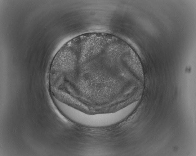 X0000094431383200712061104