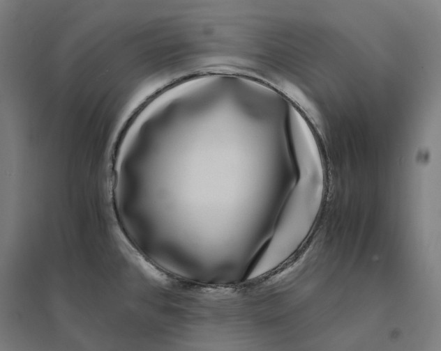 X0000094431384200712061104