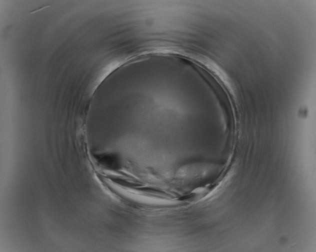 X0000094431385200712061104