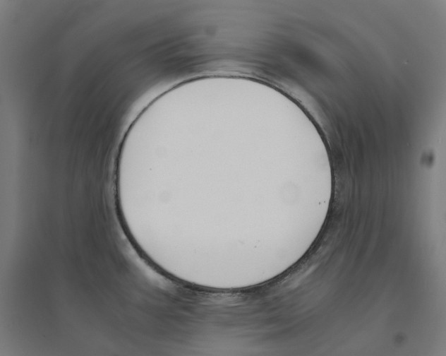 X0000094431387200712061104